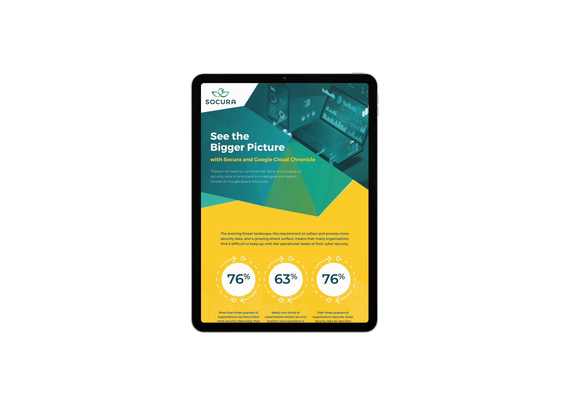 See the Bigger Picture Infographic